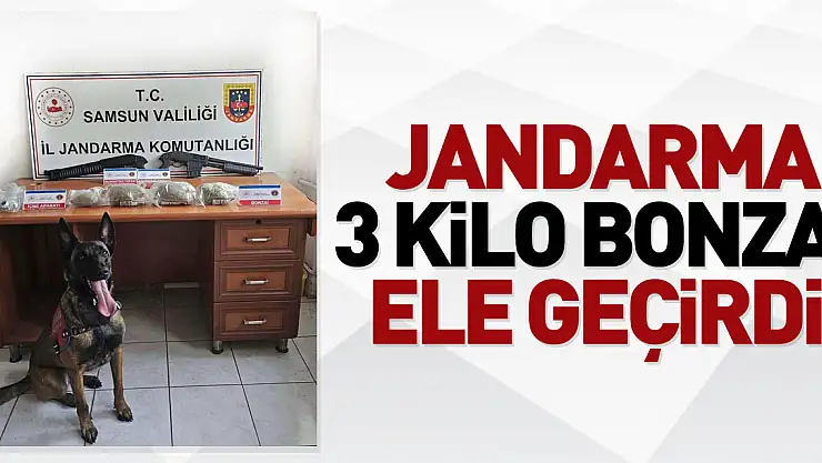 jandarma 3 kilo bonzai ele geçirdi