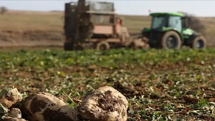 Türkşeker'in yeni sezondaki hedefi 950 bin ton