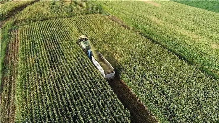 Tarımda verimliliği artıracak 'üretim planlaması' OVP'de