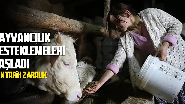 HAYVANCILIK DESTEKLEMELERİ BAŞLADI