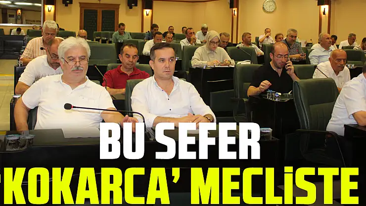 Bu sefer 'kokarca' mecliste