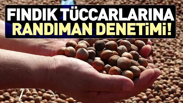 Fındık Tüccarlarına Randıman Denetimi!