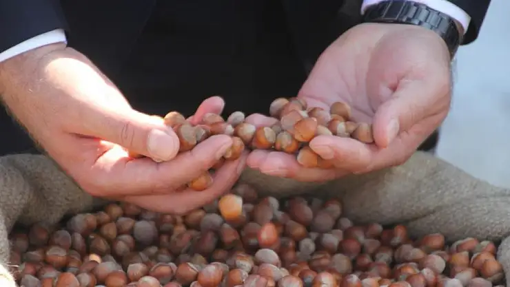 TMO Genel Müdürü Güldal'dan 'Topyekûn mücadele' açıklaması