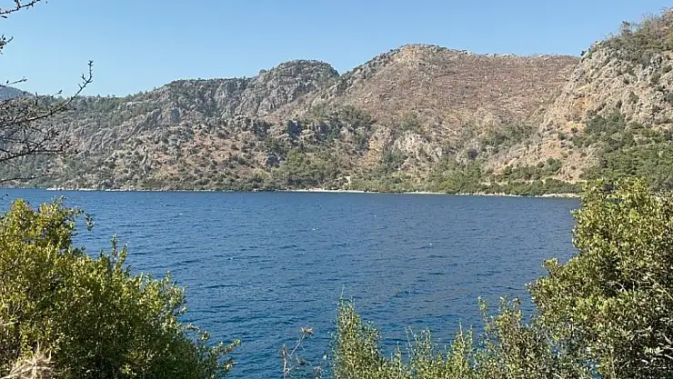 Komedyen Şahan Gökbakar'ın evi mühürlendi