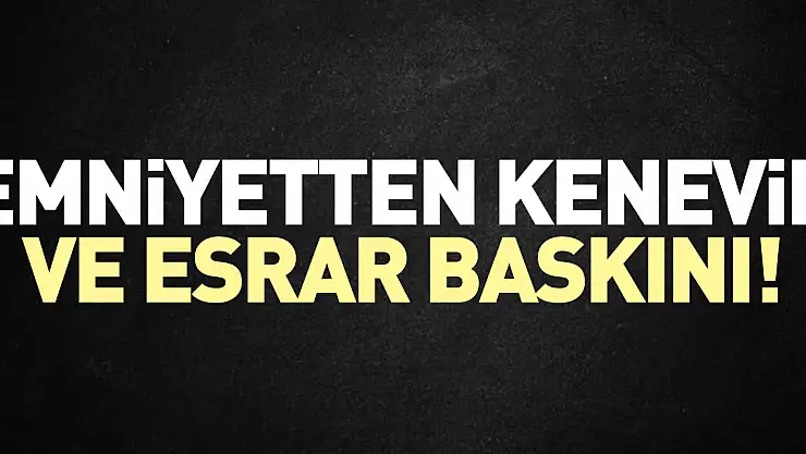 Emniyetten kenevir ve esrar baskını!