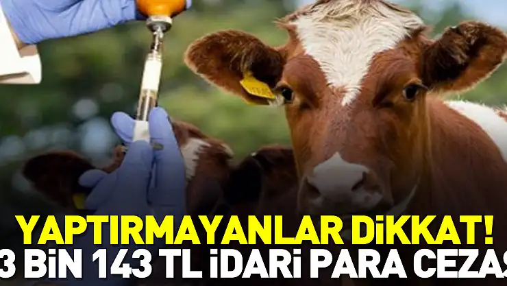 Yaptırmayanlara 73 bin 143 TL idari para cezası