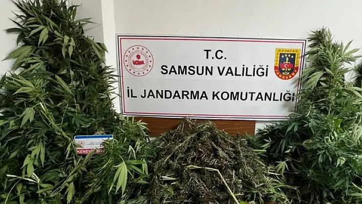 Jandarmadan kubar esrar avı