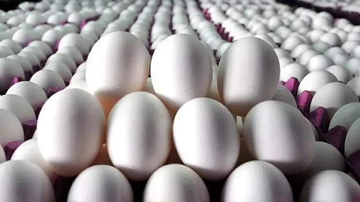 İsrafın önüne geçilecek