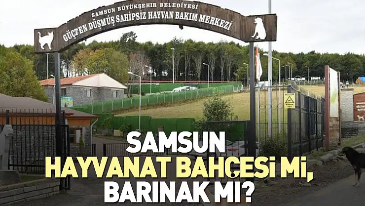SAMSUN HAYVANAT BAHÇESİ Mİ, BARINAK MI?