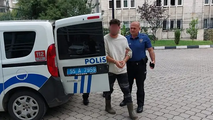 Fındık hırsızlığından tutuklandı