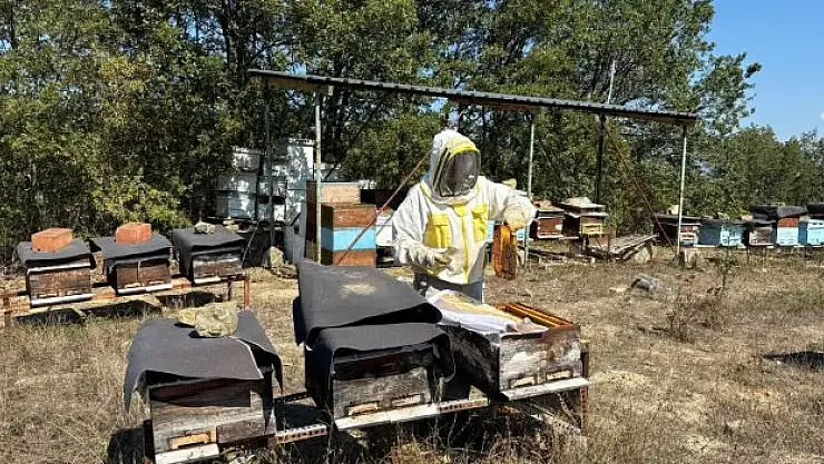 Hobi olarak başladı