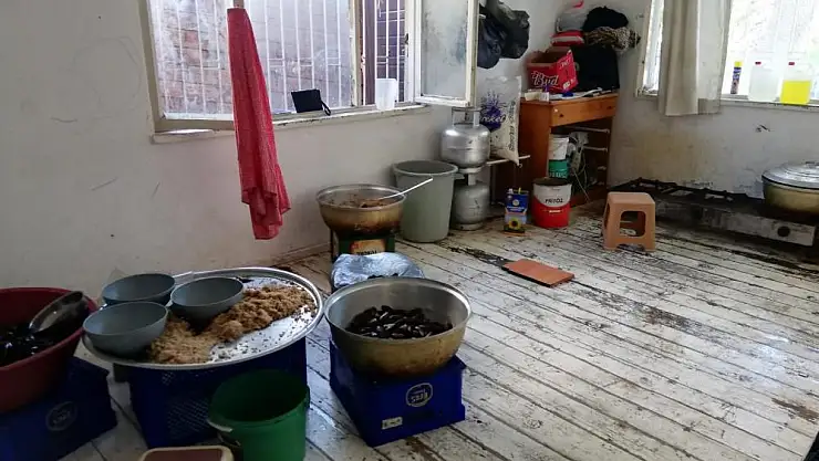 Sağlıksız midyelere zabıta el koydu