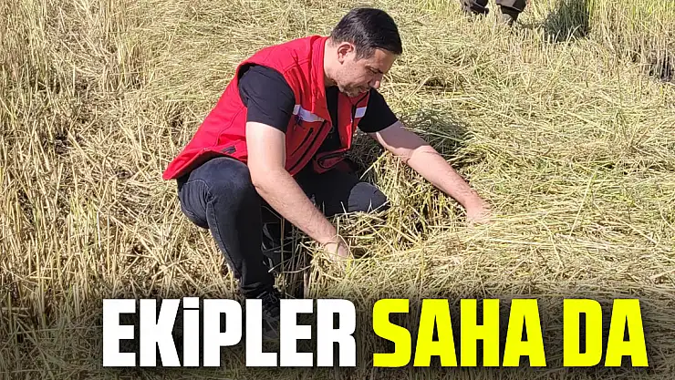 Ekipler saha da