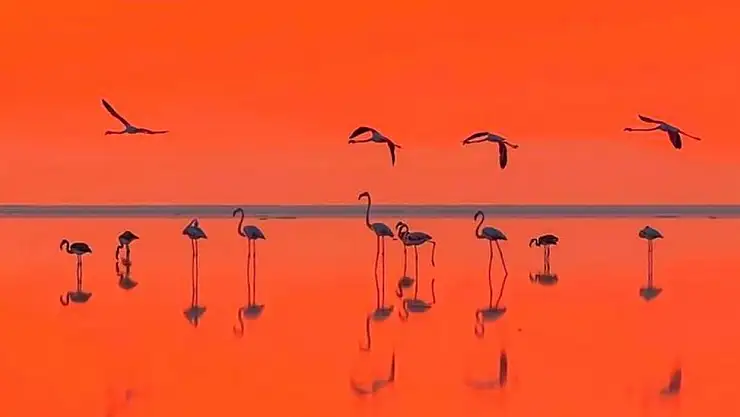 Fotoğraf tutkunu savcı