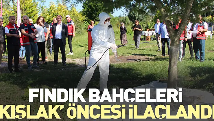 FINDIK BAHÇELERİ 'KIŞLAK' ÖNCESİ İLAÇLANDI