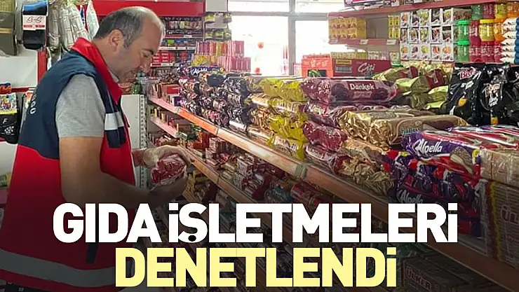 GIDA İŞLETMELERİ DENETLENDİ