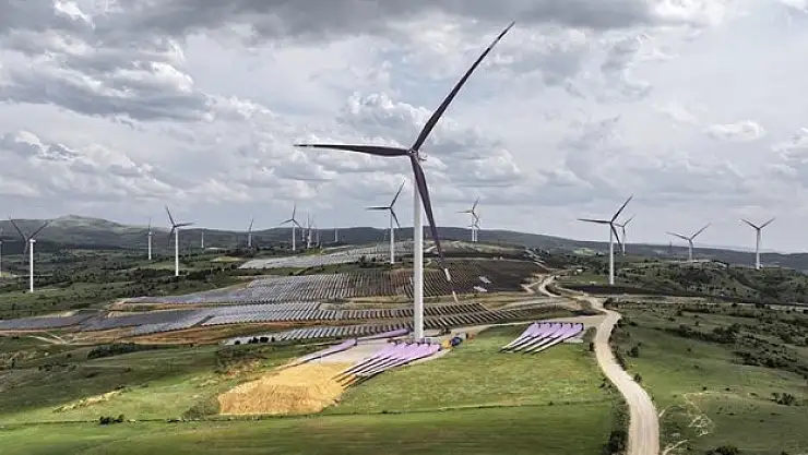 Türkiye'nin rüzgar enerjisi politikalarına övgü