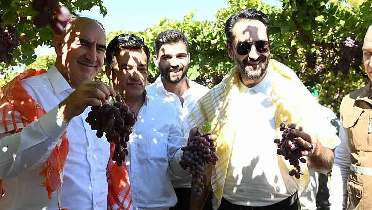 40 bin aile geçimini bağcılıktan sağlıyor