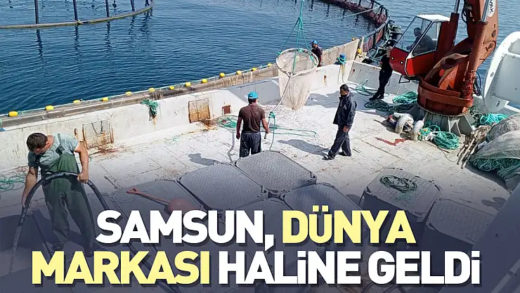 Samsun, dünya markası haline geldi