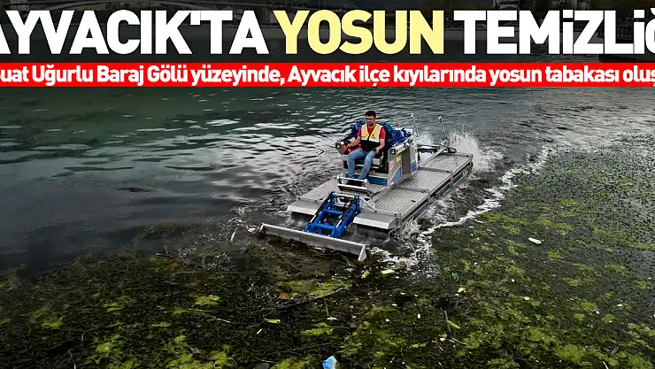 Ayvacık'ta yosun temizliği