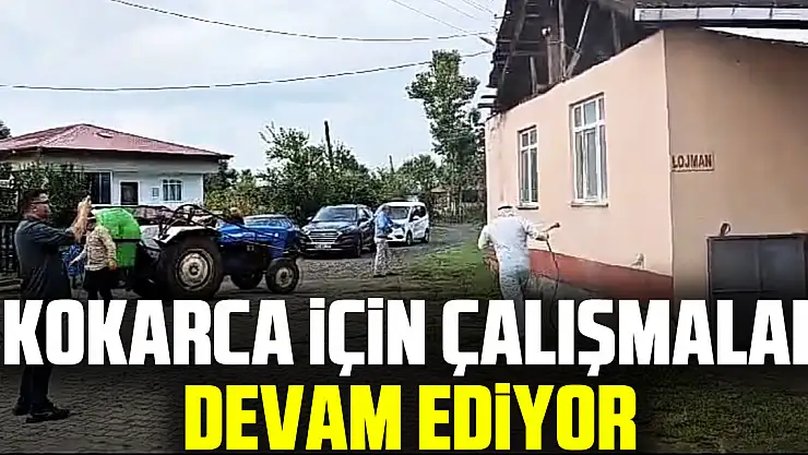 KOKARCA İÇİN ÇALIŞMALAR DEVAM EDİYOR