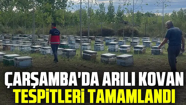 Çarşamba'da Arılı Kovan Tespitleri Tamamlandı