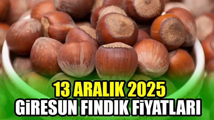 13 Aralık Giresun Fındık Fiyatları