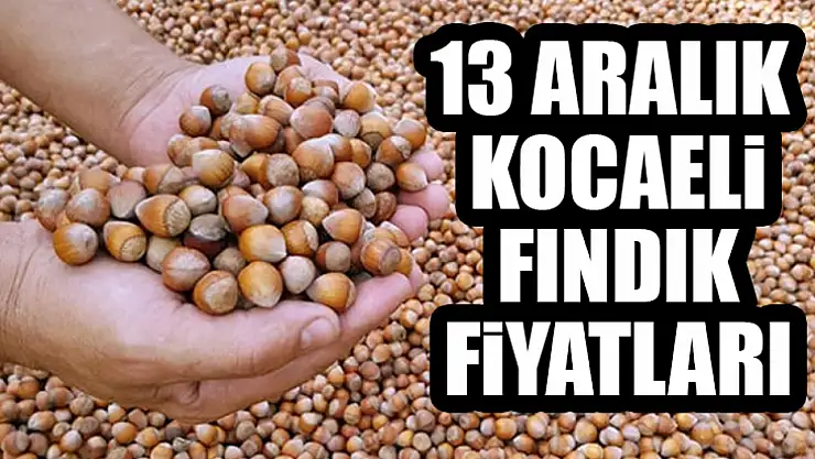 13 Aralık Kocaeli Fındık Fiyatları