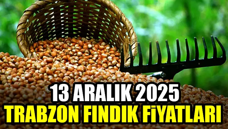 13 Aralık Trabzon Fındık Fiyatları