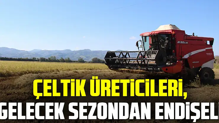 Çeltik üreticileri, gelecek sezondan endişeli