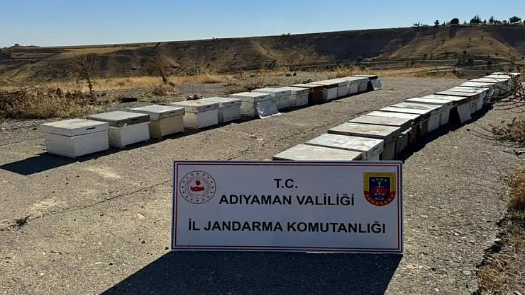 Arı kovanlarını çaldı