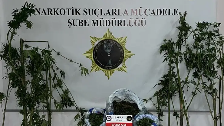 Samsun'da uyuşturucu operasyonu: 2 gözaltı