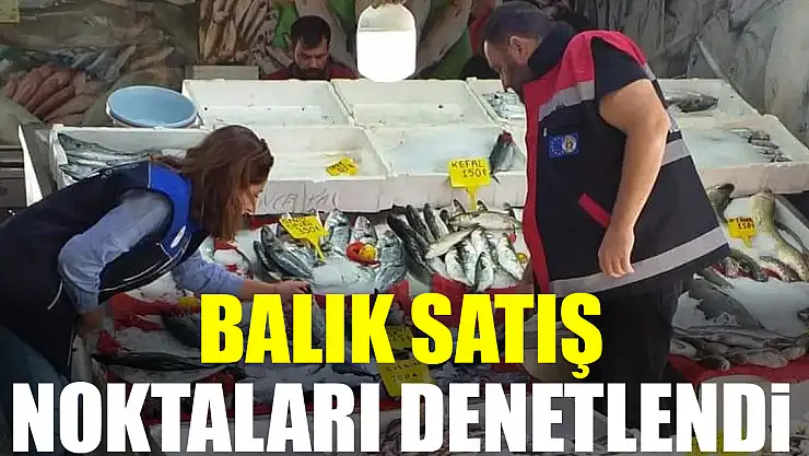 BALIK SATIŞ NOKTALARI DENETLENDİ