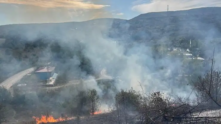 Yangın evlere ulaşmadan söndürüldü