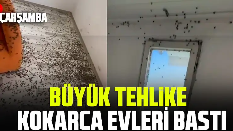 ÇARŞAMBA DA BÜYÜK TEHLİKE  KOKARCA EVLERİ BASTI