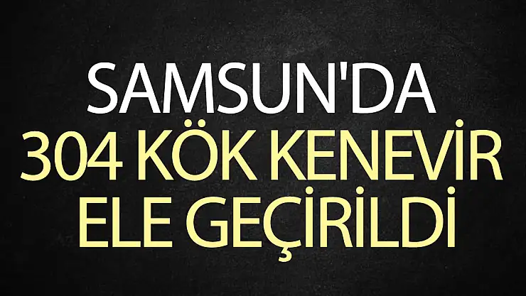 Samsun'da 304 kök kenevir ele geçirildi