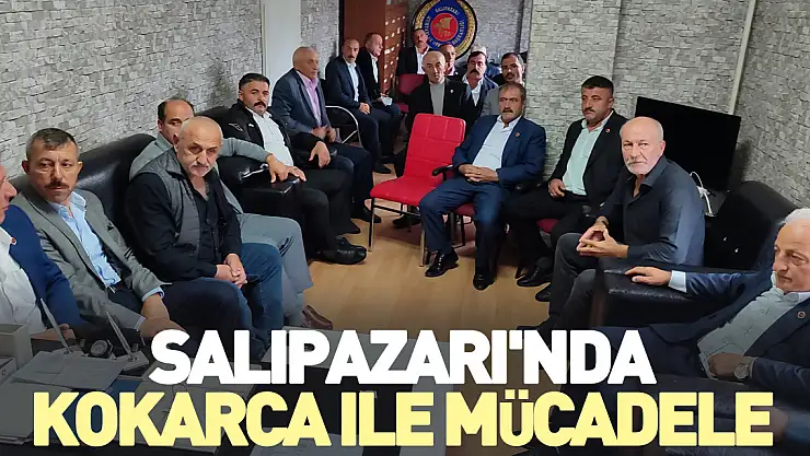 Salıpazarı'nda kokarca ile mücadele
