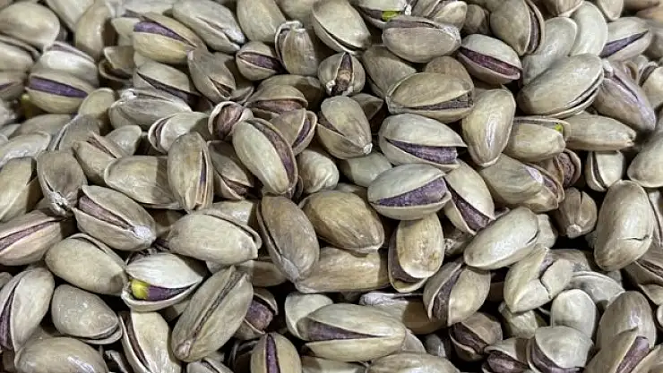 İhracat 150 milyon dolara yaklaştı