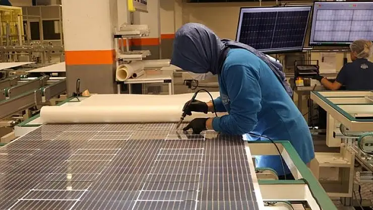 4 ülkeye ihraç ediliyor