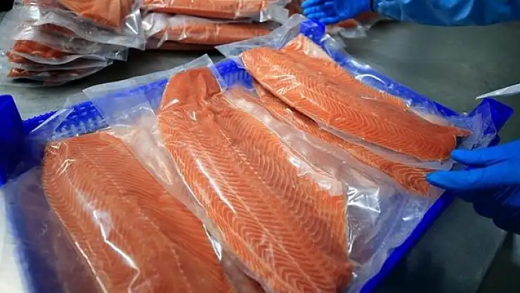 İhracat, 351,3 milyon doları aştı