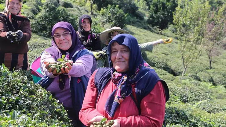 ÇAYIN HER TÜRLÜSÜ PARA