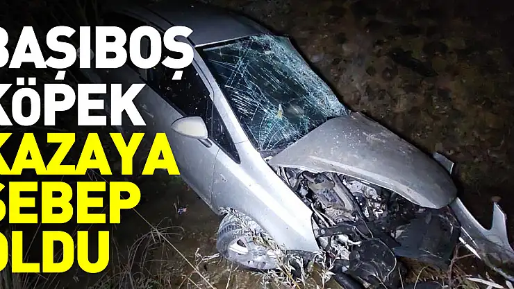 Başıboş köpeğe çarpan otomobil dere yatağına yuvarlandı