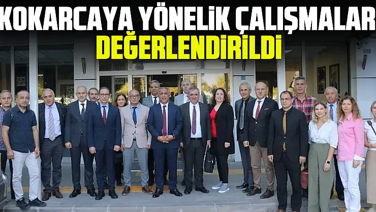Kokarcaya Yönelik Çalışmalar Değerlendirildi
