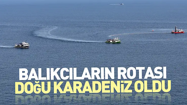 Balıkçıların rotası, Doğu Karadeniz oldu
