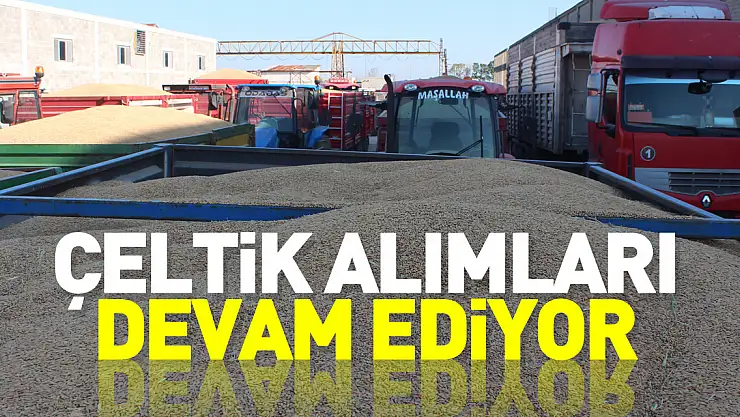 ÇELTİK ALIMLARI DEVAM EDİYOR