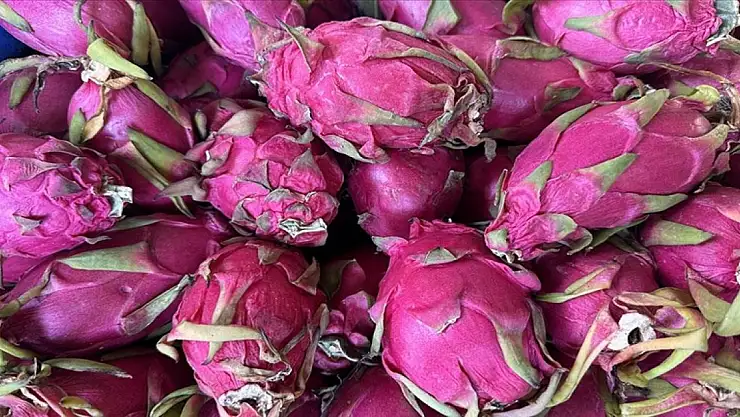 Türkiye'nin tropikal meyve ihracatı arttı