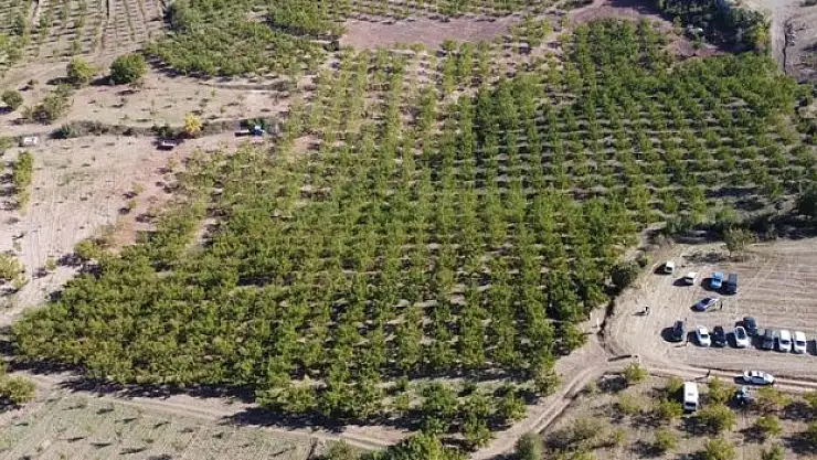 4 yılda iki katına yaklaştı