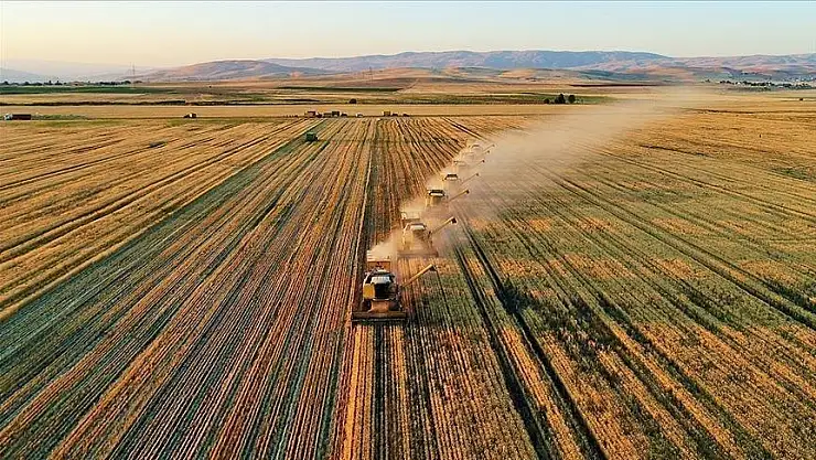 Çiftçilere 185,8 milyon liralık tarımsal destekleme ödemesi yapıldı