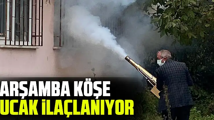 ÇARŞAMBA KÖŞE BUCAK İLAÇLANIYOR