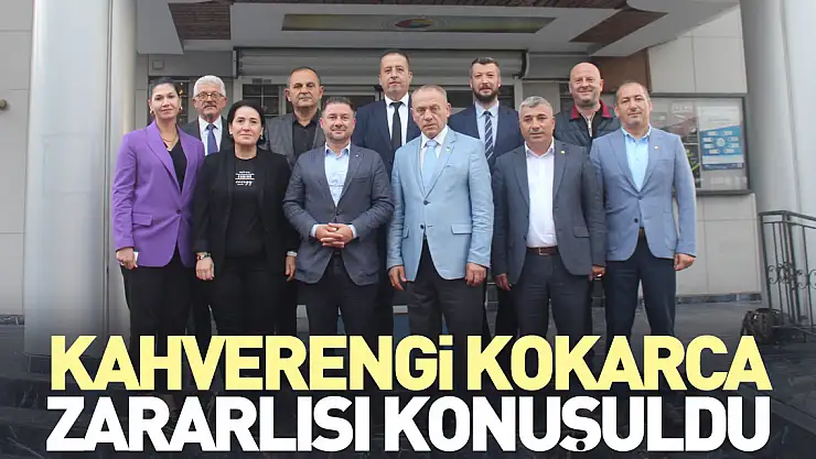 Kahverengi kokarca zararlısı konuşuldu